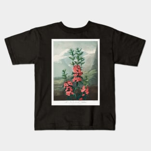 The Narrow–Leaved Kalmia Kids T-Shirt